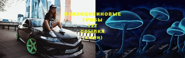 mdma Богородицк