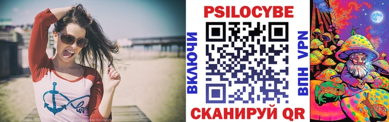 Псилоцибиновые грибы Psilocybe  Великий Новгород 